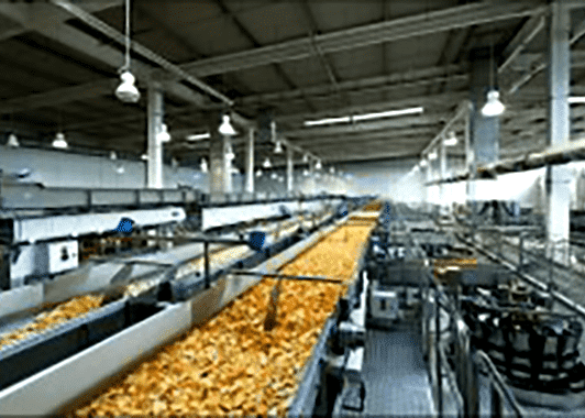 Food Processing Industry